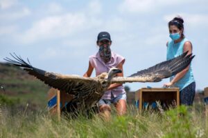 Ford Wildlife Foundation